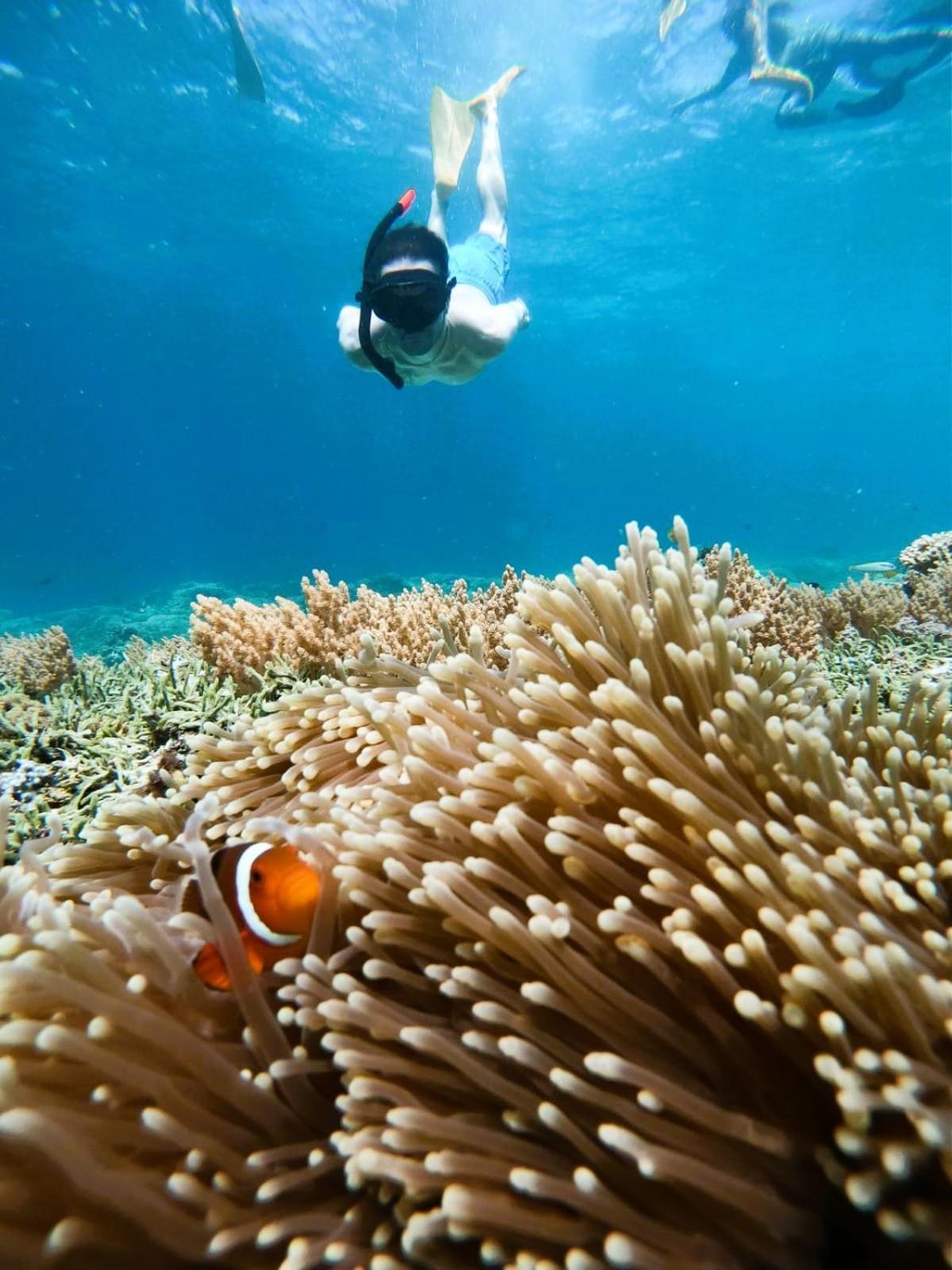 Gili Mesari Cottages & Homestay Gili Trawangan Exterior foto