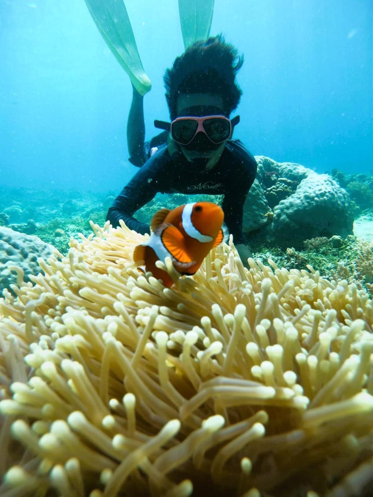 Gili Mesari Cottages & Homestay Gili Trawangan Exterior foto